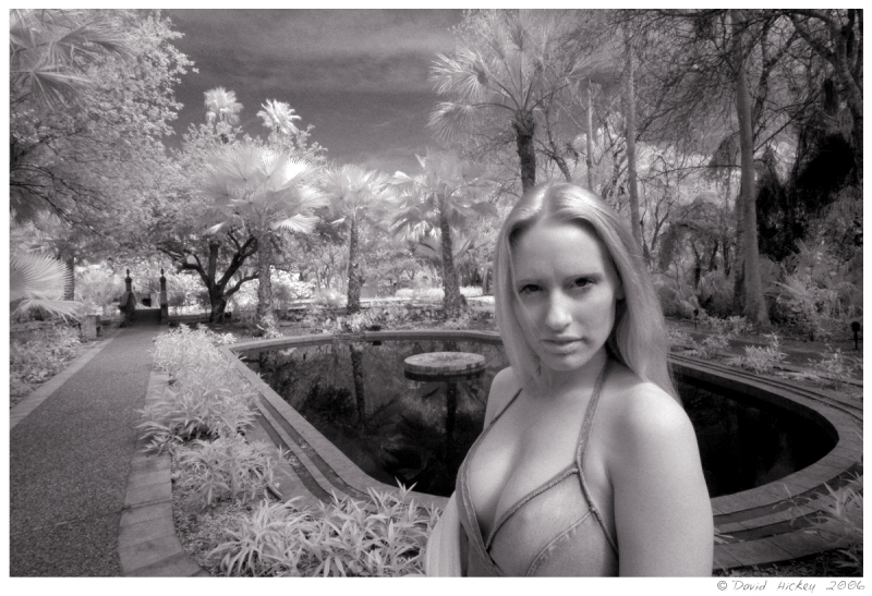 sarah21 Model: Sarah in infrared
MUA: By model