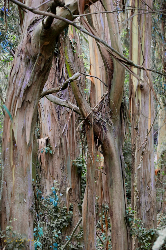 _MG_1054