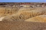  Mounds, Bisti Wilderness, NM