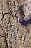  Cracked Earth, Bisti Wilderness, NM