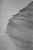  Imperial Sand Dunes, Glamis Ca