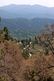  Sequoia National Park, CA
