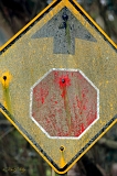  Gritty stop sign, off Highway One, CA