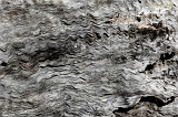  Driftwood, Point Reyes, CA