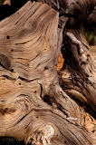  Wood, Lassen National Forest, CA