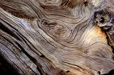  Wood, Lassen National Forest, CA