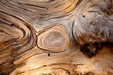  Wood, Lassen National Forest, CA