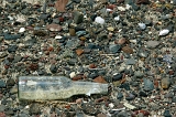 Bottle, Cold Springs, NV