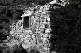 _MG_2006