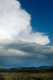 _MG_2010