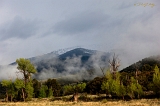  Early morning mist, Salida, CO
