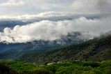  Early morning mist, Salida, CO