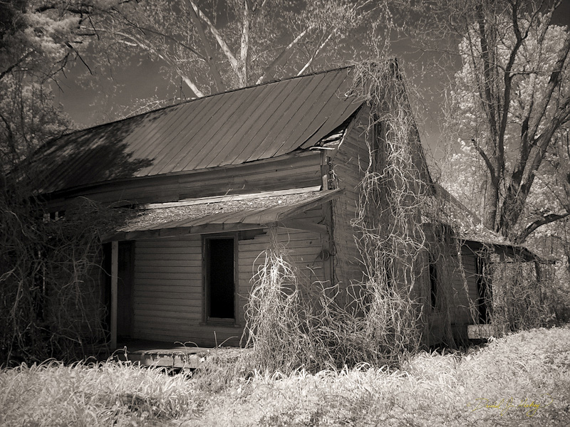 023 Another Abandoned Place, near Dillard, GA -- Infrared image of the building.  A Georgia Trooper drove by as I was shooting this, gave me that 