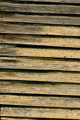 035 Somewhere in Kentucky, I Think II -- Though this may be Georgia and I got it out of order here ... lol ... Anyhoo, I'm a sucker for weathered wood alone too.