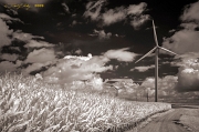  Bloomington windmills