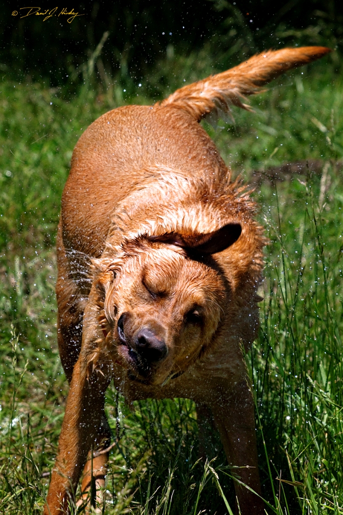 _MG_5039