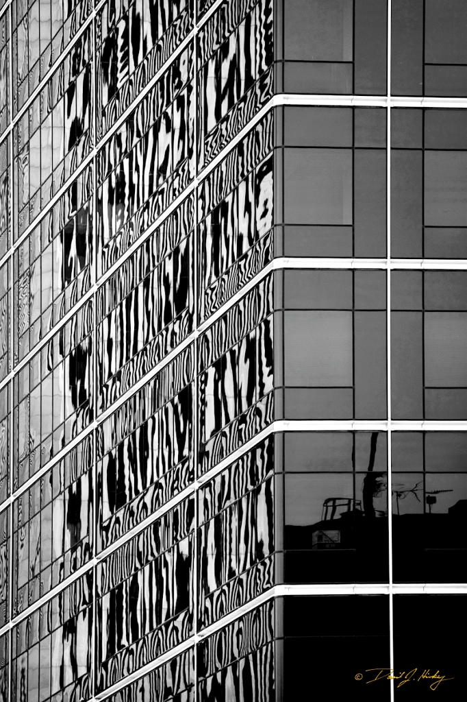 _MG_4416