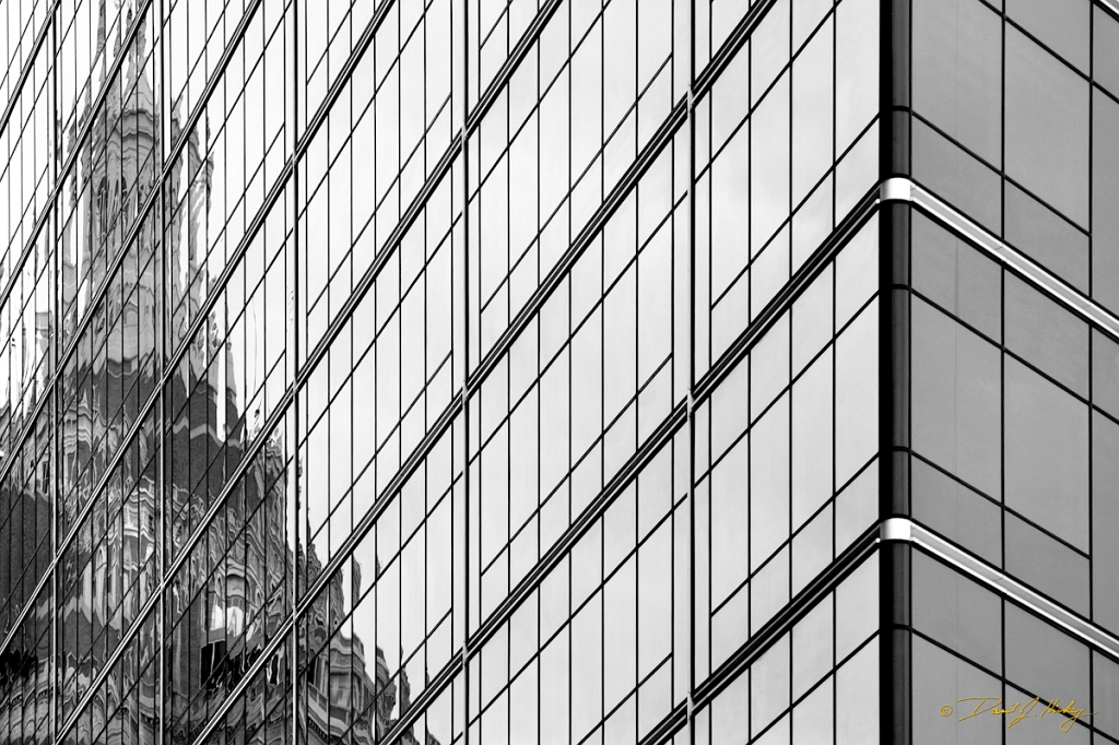 _MG_4421-2