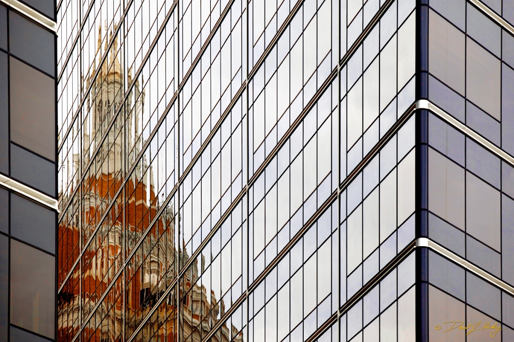 _MG_4421
