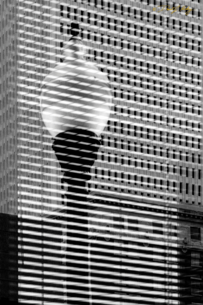 _MG_4433