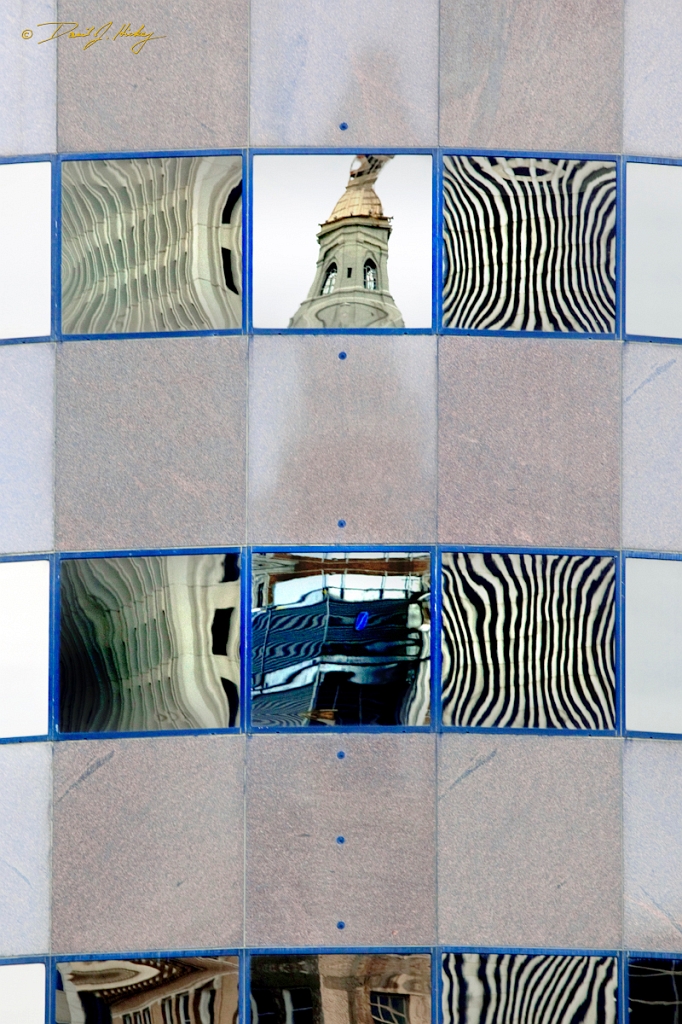 _MG_4462