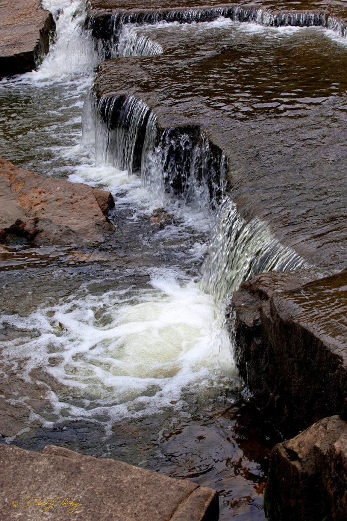 _MG_4620