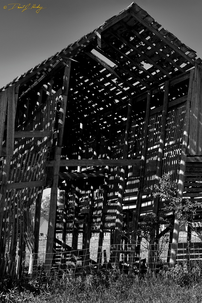 _MG_5258