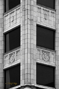 _MG_4437