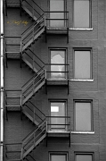 _MG_4474