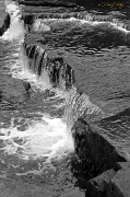 _MG_4621