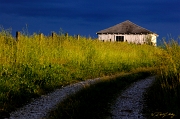 Scenics