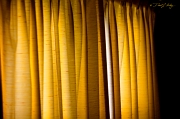 _MG_5459