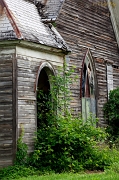_MG_5464